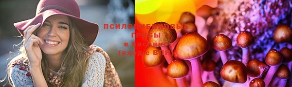 прущие грибы Балабаново