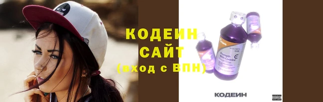 прущие грибы Балабаново