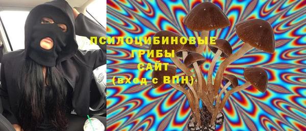 прущие грибы Балабаново