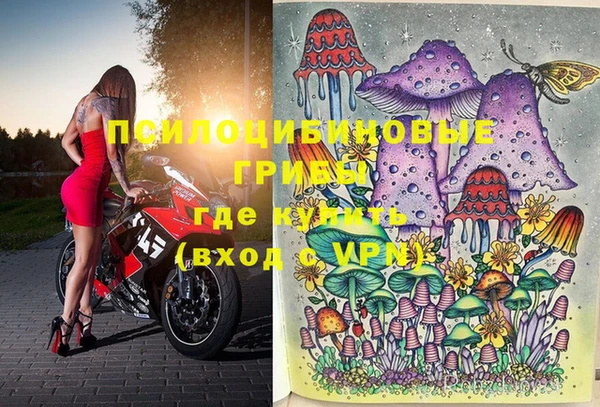 прущие грибы Балабаново
