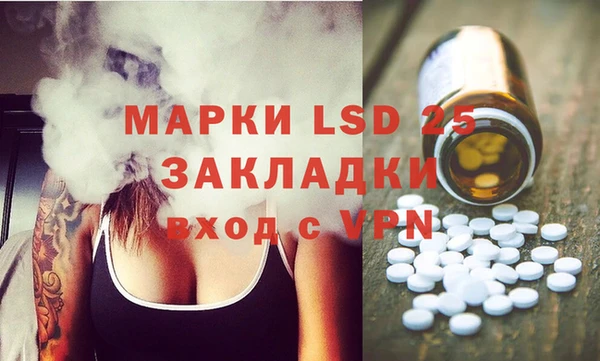 прущие грибы Балабаново