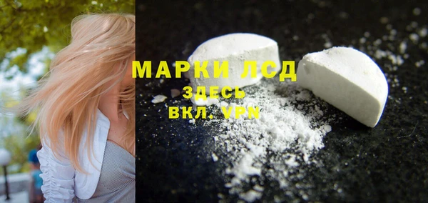прущие грибы Балабаново
