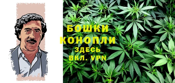 прущие грибы Балабаново